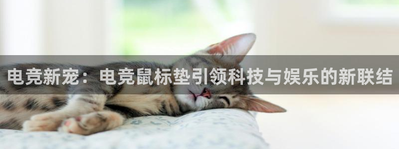 米兰电竞app下载：电竞新宠：电竞鼠标垫引领科技与娱乐的新联结
