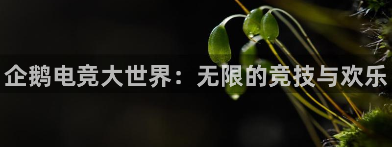 米兰电竞app下载：企鹅电竞大世界：无限的竞技与欢乐