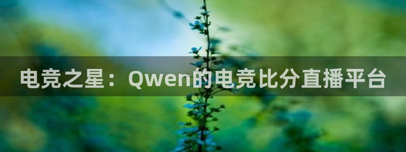 米兰电竞网站入口