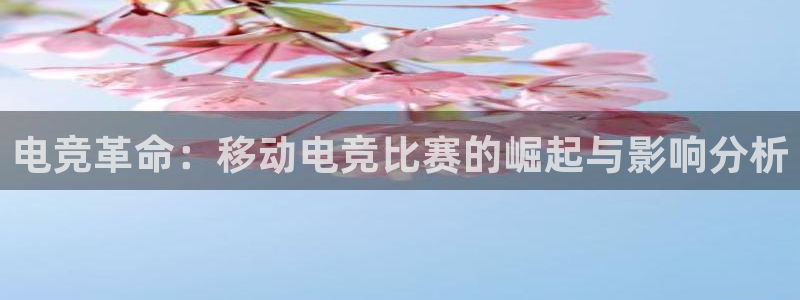 米兰电竞电子竞技平台
