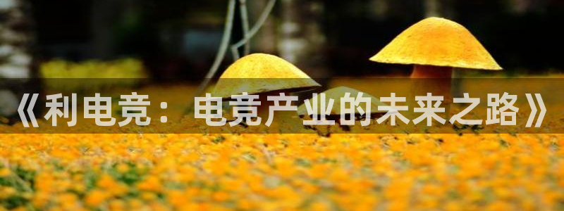 米兰电竞官网
