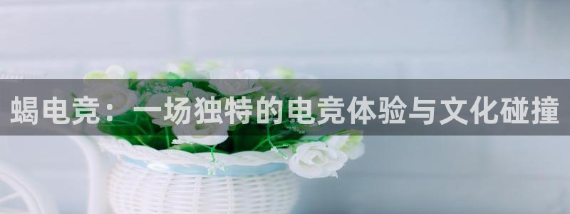 米兰电竞下载