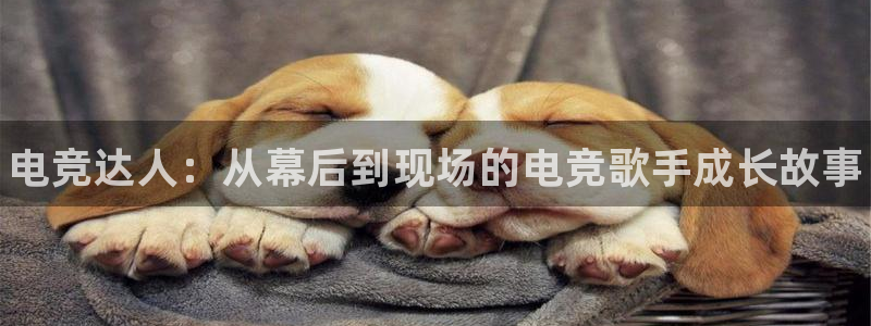 米兰电竞网站入口