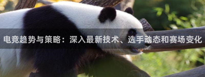 米兰电竞网址