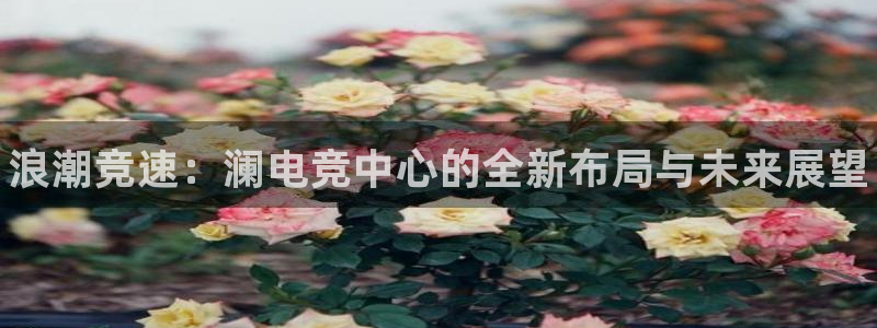 米兰电竞App官方