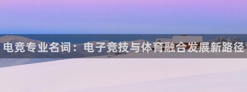 米兰电竞网站