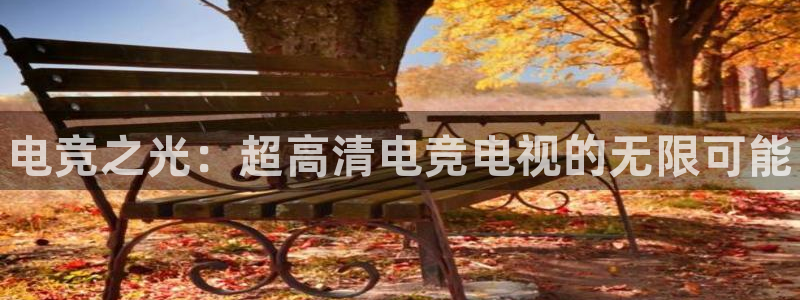 米兰电竞官方网站