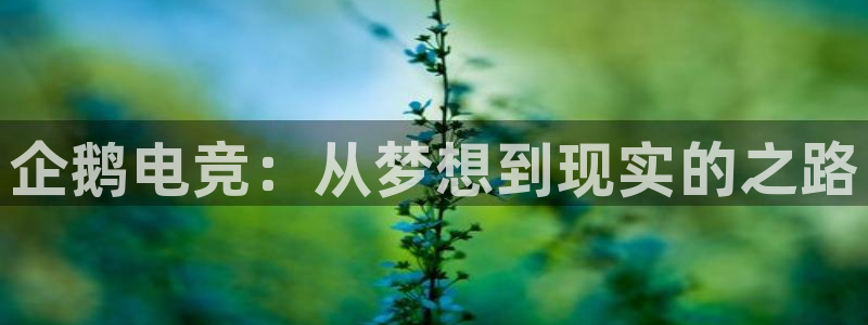 米兰电竞App官方