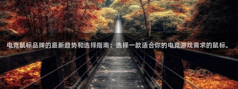 米兰电竞官网