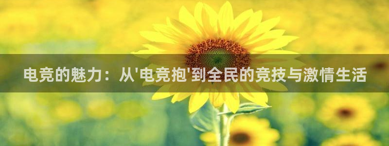 米兰电竞网页版入口