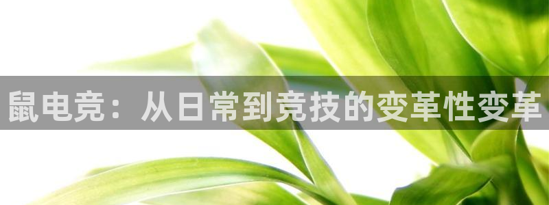 米兰电竞下载
