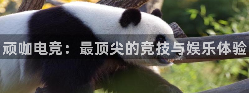 米兰电竞全站