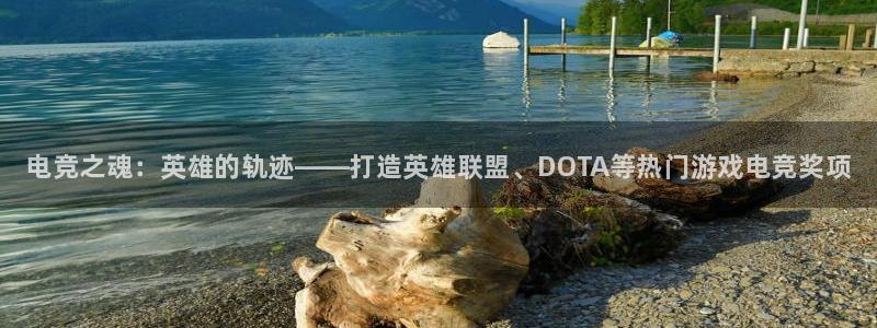 米兰电竞网址
