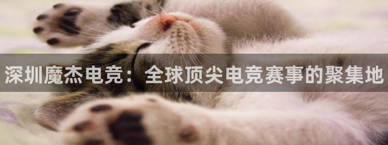 米兰电竞网页版入口