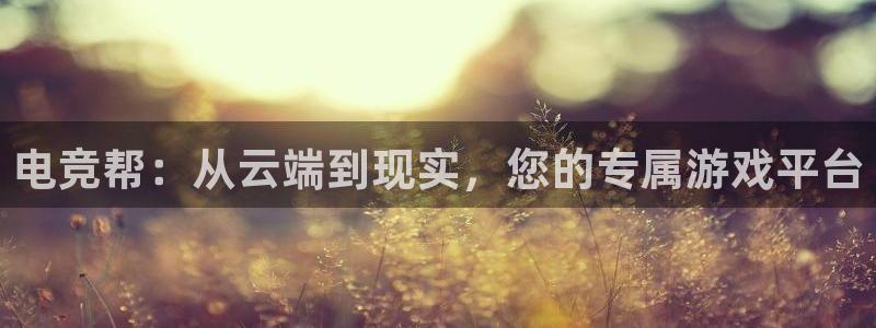 米兰电竞app