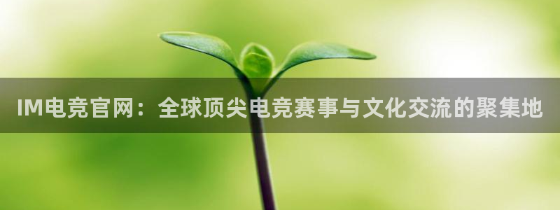 米兰电竞官网下载