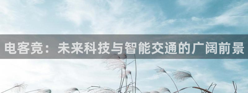 米兰电竞app