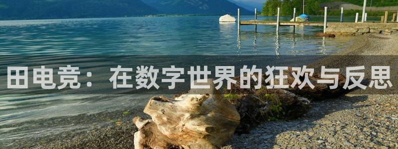 米兰电竞app