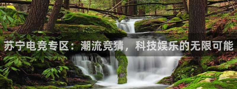 米兰电竞会不会不出款