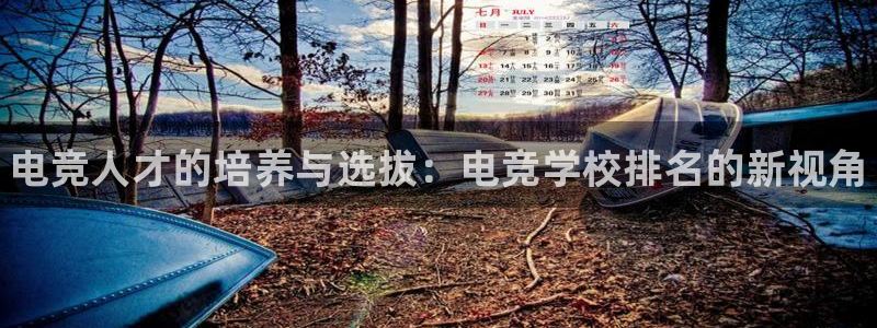 米兰电竞下载
