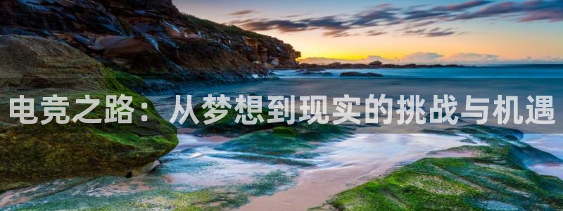 米兰电竞app下载