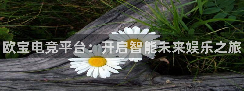 米兰电竞网站