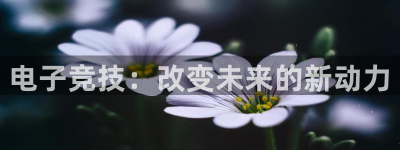 米兰电竞电子竞技平台