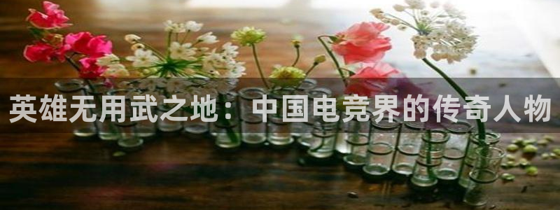 米兰电竞平台
