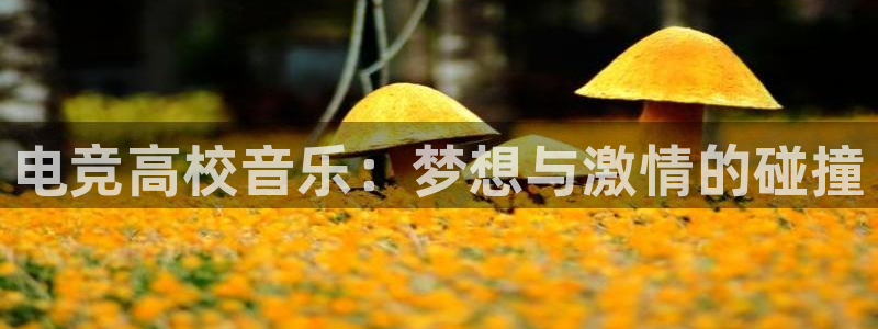 米兰电竞网页版入口