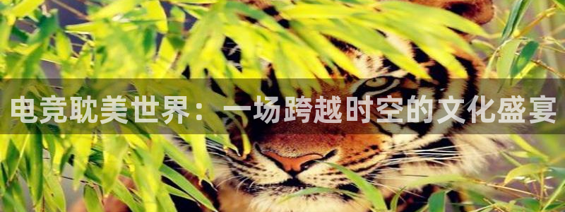 米兰电竞app