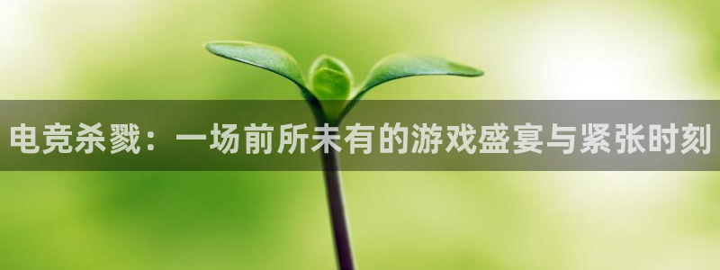 米兰电竞会不会不出款