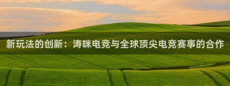 米兰电竞平台官网