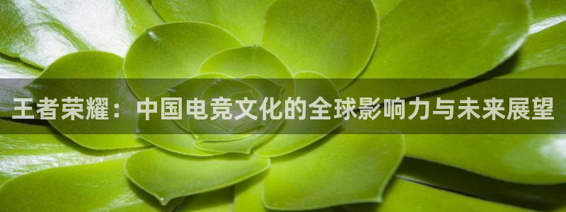 米兰电竞首页：王者荣耀：中国电竞文化的全球影响力与未来展望