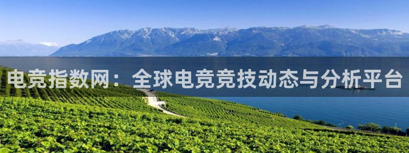 米兰电竞首页：电竞指数网：全球电竞竞技动态与分析平台