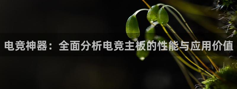 米兰电竞下载：电竞神器：全面分析电竞主板的性能与应用价值