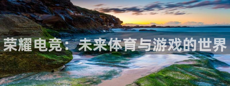 米兰电竞app：荣耀电竞：未来体育与游戏的世界