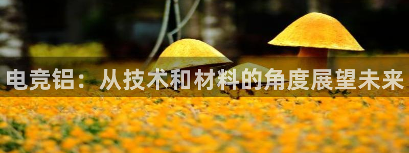 米兰电竞app下载：电竞铝：从技术和材料的角度展望未来