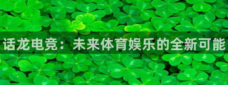 米兰电竞：话龙电竞：未来体育娱乐的全新可能