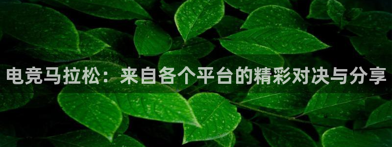 米兰电竞游戏：电竞马拉松：来自各个平台的精彩对决与分享