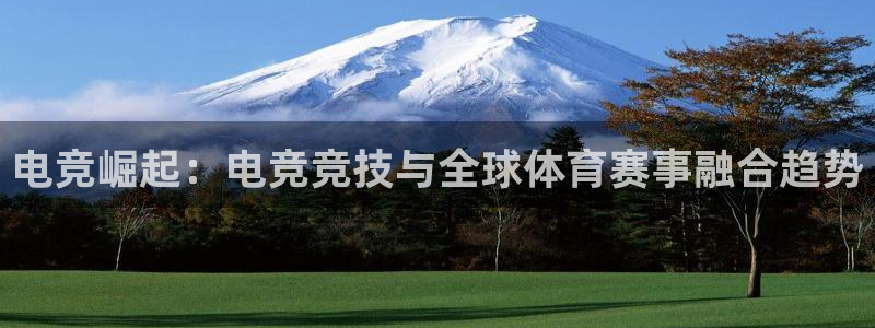 米兰电竞在线
