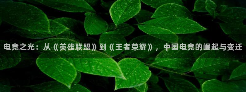 米兰电竞官方网站