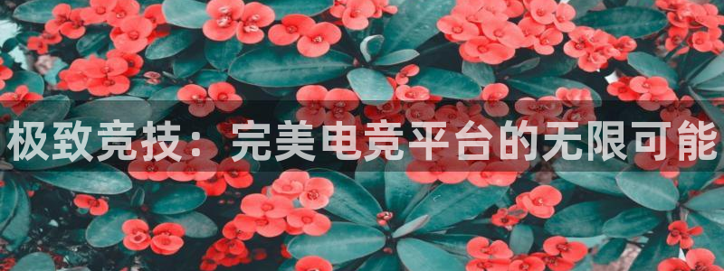米兰电竞网站人口