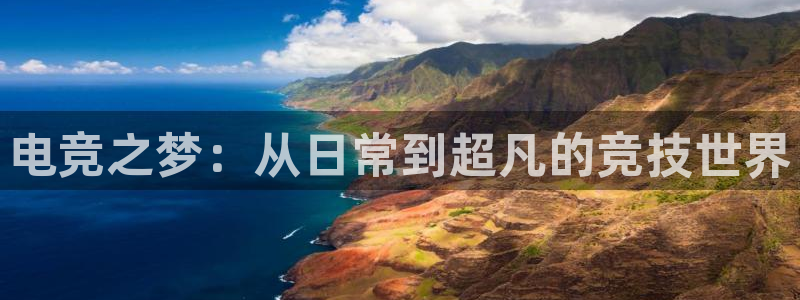 米兰电竞官方网站
