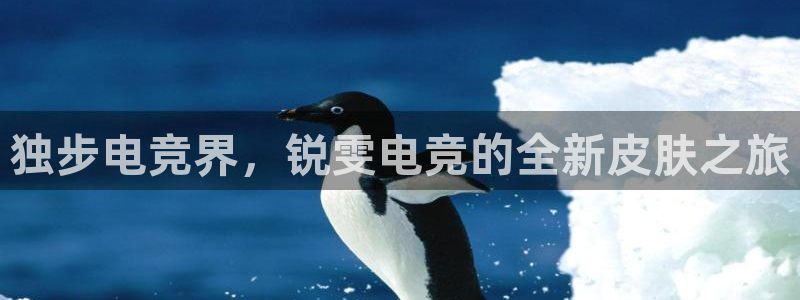 米兰电竞全站：独步电竞界，锐雯电竞的全新皮肤之旅