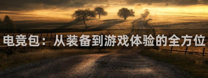 米兰电竞下载：电竞包：从装备到游戏体验的全方位