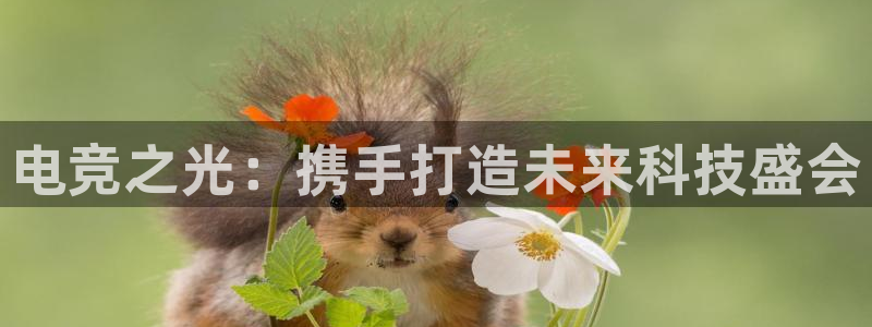 米兰电竞会不会不出款：电竞之光：携手打造未来科技盛会